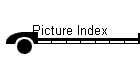 Picture Index